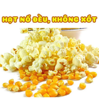 Bắp hạt Mỹ - Bắp nổ hình bướm dùng làm bắp rang bơ, bắp rang phô mai cao cấp như rạp chiếu phim