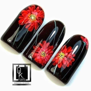 Cọ vẽ hoa cúc Dingxi chuẩn