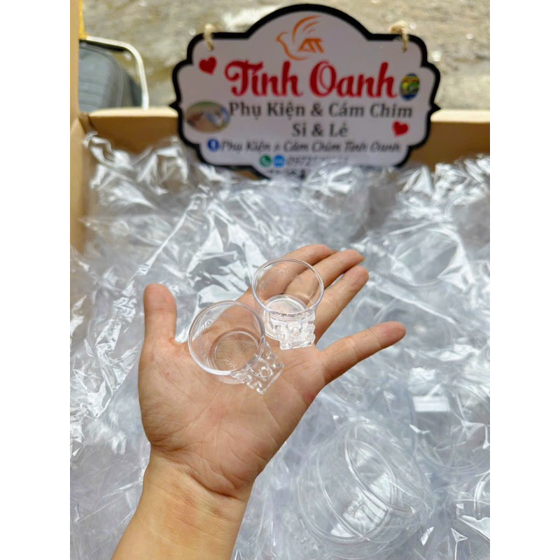 Cóng tắm cóng ăn  hút mật mẫu  mới