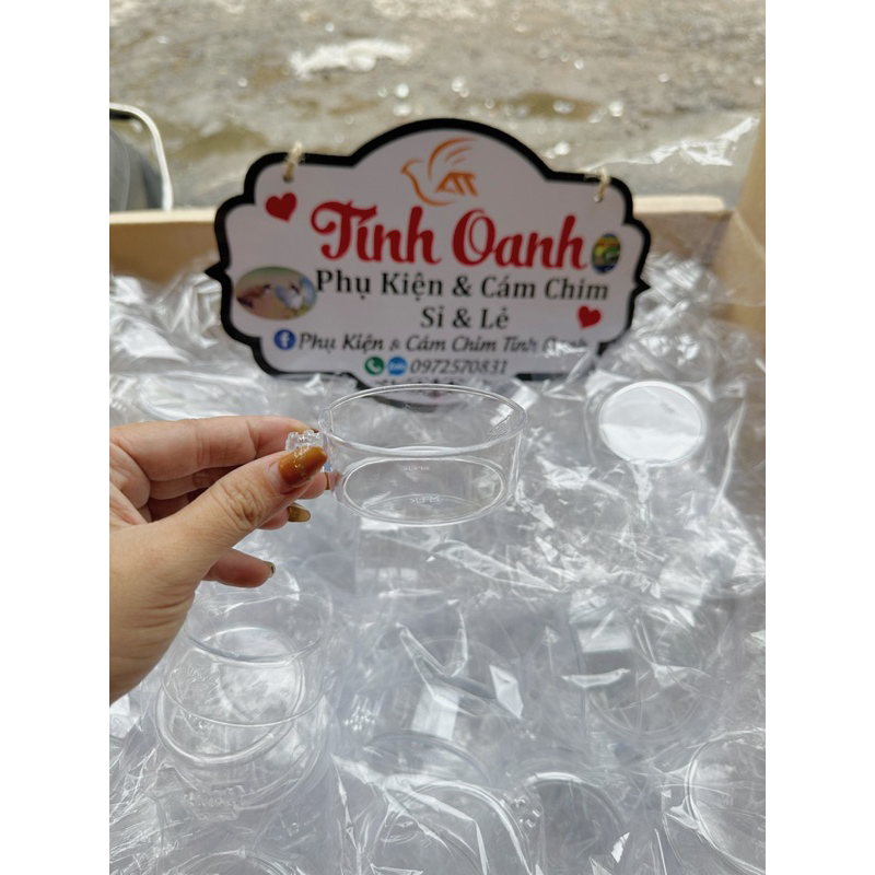 Cóng tắm cóng ăn  hút mật mẫu  mới