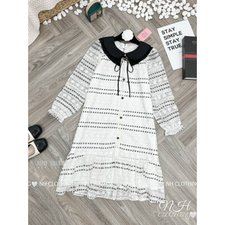 Váy ren phối cổ sm