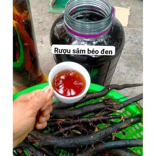 Sâm Béo Đen(Sâm Bảo Ngọc,Sâm Một Rễ,Sâm Đất) 1kg Hút Chân Không