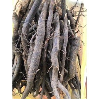 Sâm Béo Đen(Sâm Bảo Ngọc,Sâm Một Rễ,Sâm Đất) 1kg Hút Chân Không