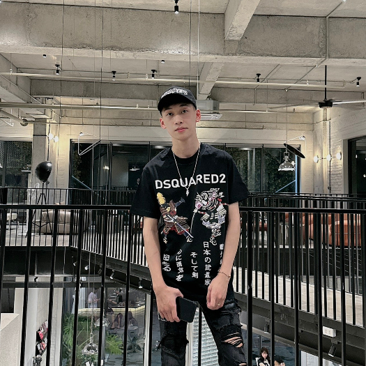 Áo Thun Nam DSQ 103 Hình In Nhiệt Cao Cấp Vải Cotton Co Dãn 4 Chiều Phù Hợp Cho Nam