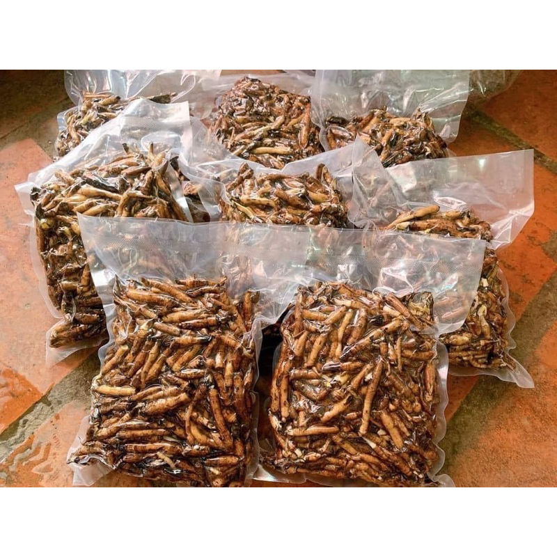 Sâm tiên mao  tươi 1 Kg Làm Sạch Hút Chân Không