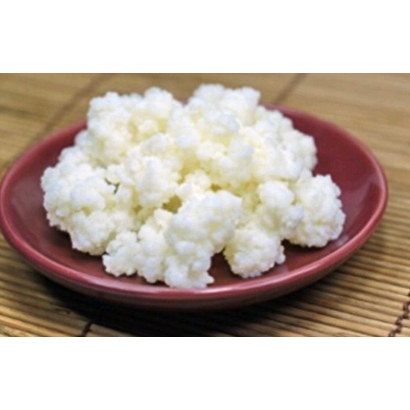 Nấm Sữa Chua Kefir