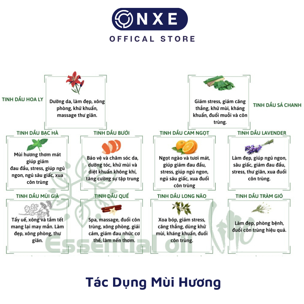 Tinh dầu treo xe ô tô onxe mùi cafe trầm chanh sả từ thiên nhiên 10ml thư giãn khử mùi trên ô tô giảm say xe | BigBuy360 - bigbuy360.vn