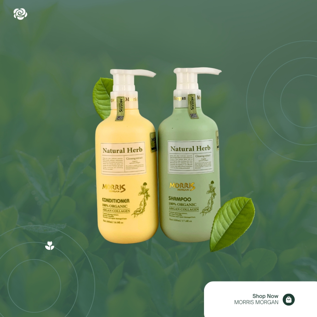 Dầu gội đầu thảo dược MORRIS MORGAN chiết xuất nhân sâm giúp chống lão hóa da đầu, mượt tóc và Sạch gàu 500mlx2