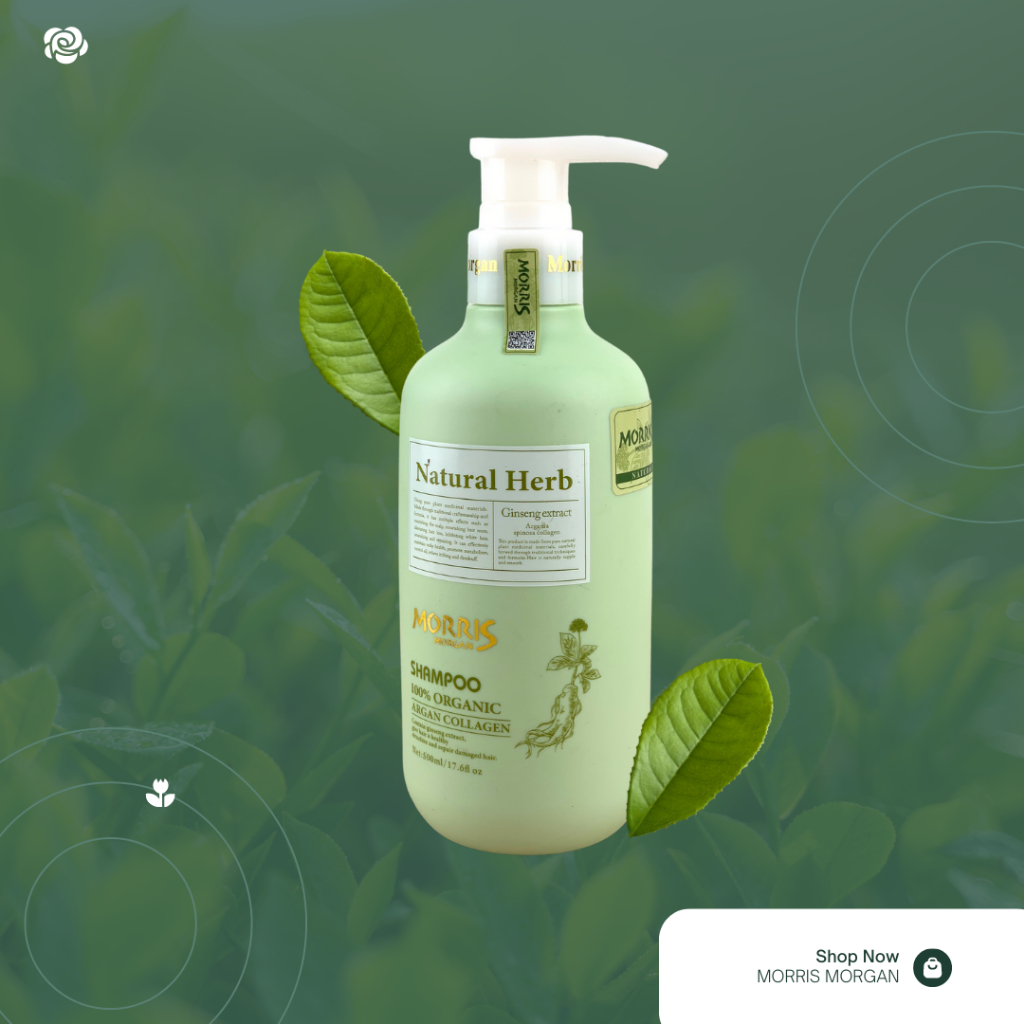 Dầu gội đầu thảo dược MORRIS MORGAN chiết xuất nhân sâm giúp chống lão hóa da đầu, mượt tóc và Sạch gàu 500mlx2