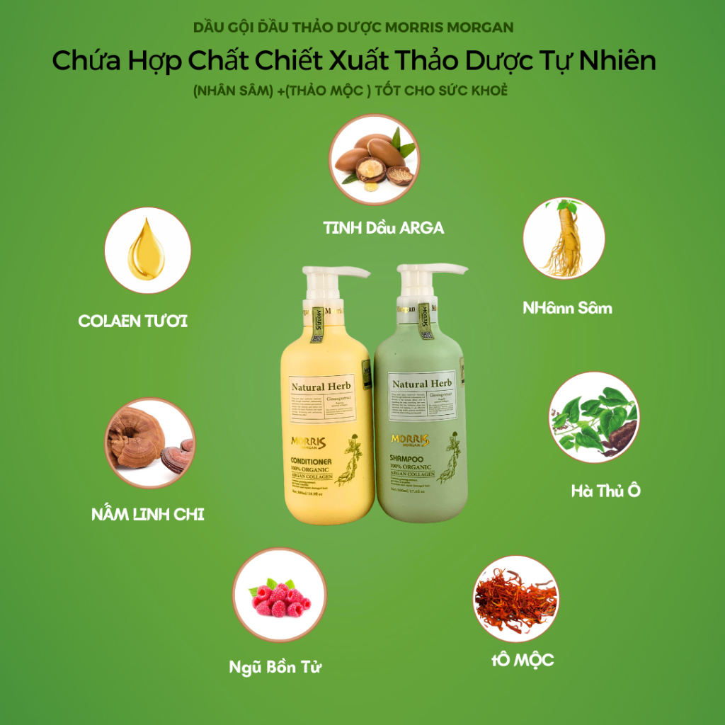 Dầu gội đầu thảo dược MORRIS MORGAN chiết xuất nhân sâm giúp chống lão hóa da đầu, mượt tóc và Sạch gàu 500mlx2