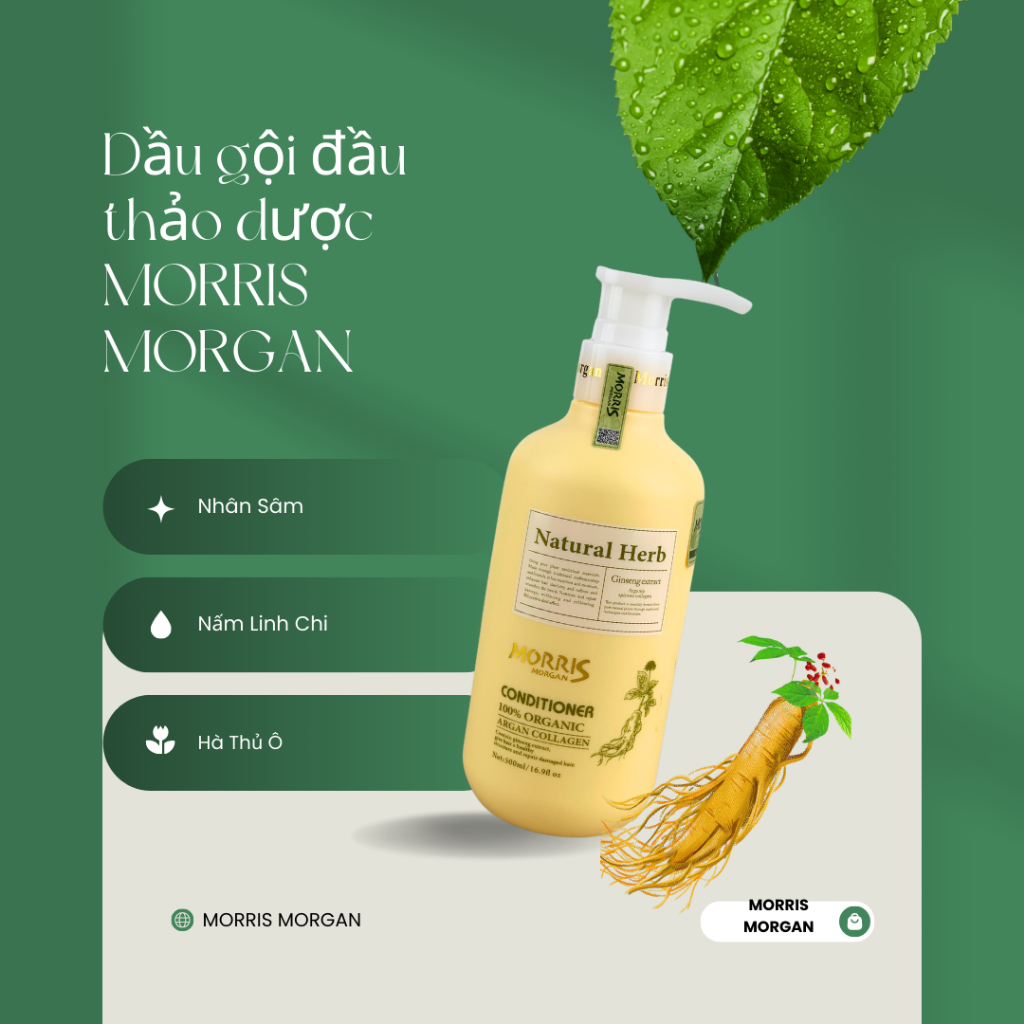 Dầu gội đầu thảo dược MORRIS MORGAN chiết xuất nhân sâm giúp chống lão hóa da đầu, mượt tóc và Sạch gàu 500mlx2