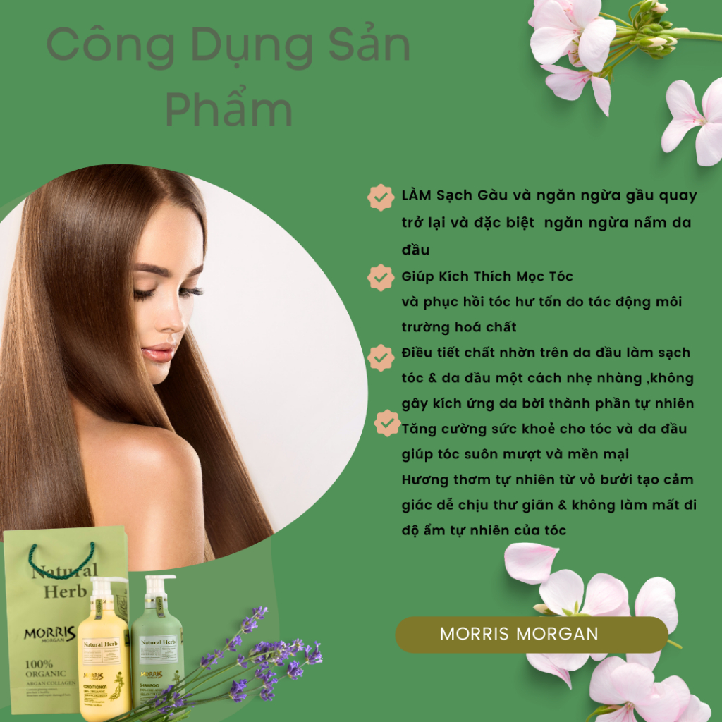 Dầu gội đầu thảo dược MORRIS MORGAN chiết xuất nhân sâm giúp chống lão hóa da đầu, mượt tóc và Sạch gàu 500mlx2