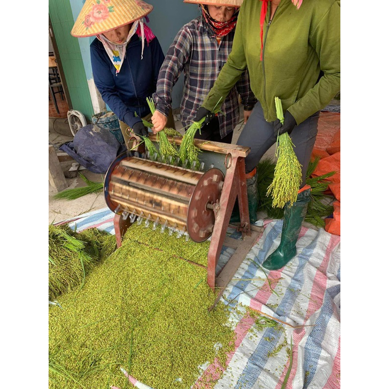 Cốm nếp Tú Lệ đặc sản Yên Bái 500g