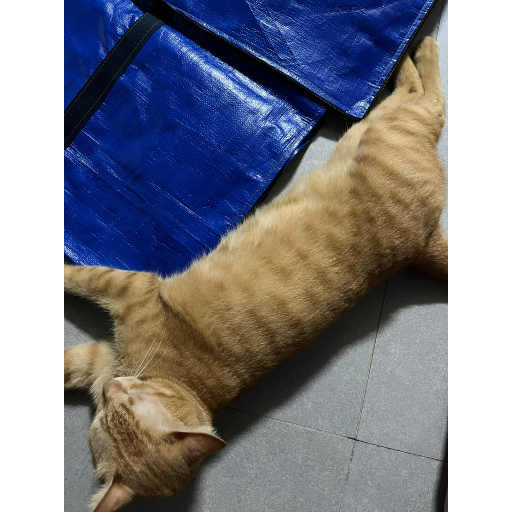 Túi bạt màu xanh 2 đường may
