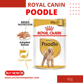 Pate Chó Poodle 85g Royal Canin 🐶Free ship 🐶 Cho Chó Poodle Trưởng Thành