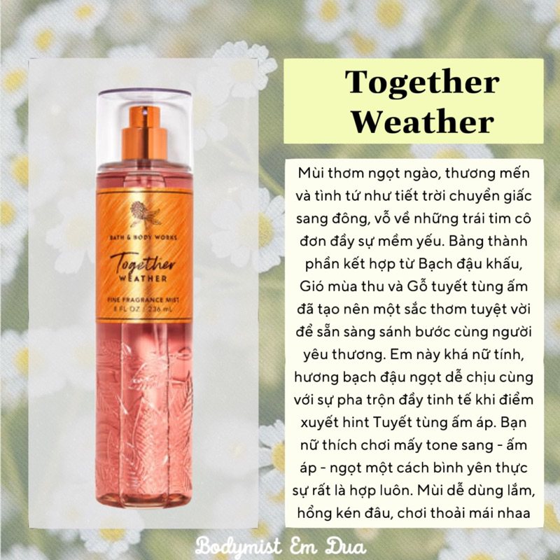 Xịt Thơm Toàn Thân - TOGETHER WEATHER