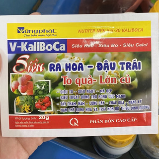 Phân bón kích hoa quả kích rễ