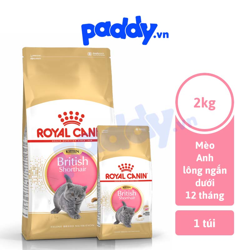 [2kg] Hạt Cho Mèo Con Anh Lông Ngắn Royal Canin British Shorthair Kitten