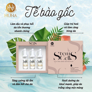 Bộ tế bào gốc huna sterm cell