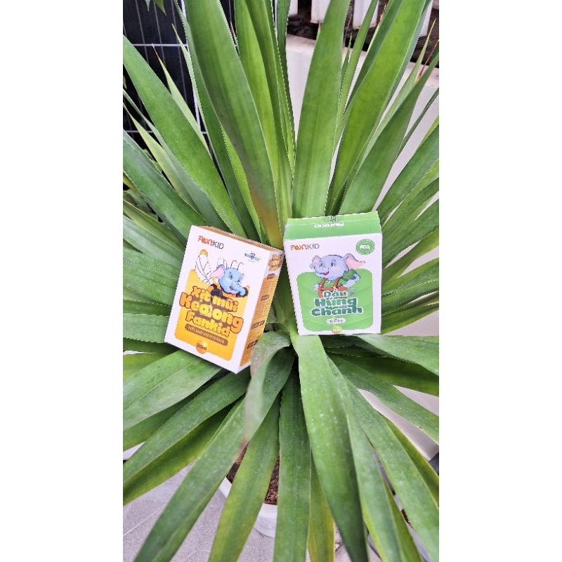 Combo xịt mũi keo ong fanbee 30ml và dầu húng chanh kẽm 30ml