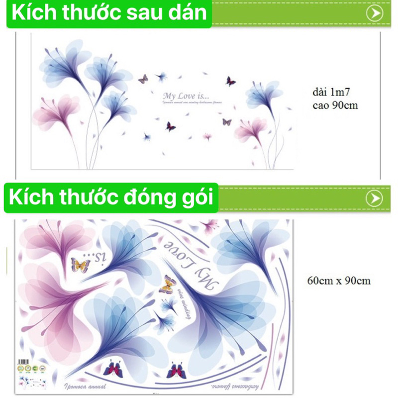 Decal dán tường, tranh dán tường tranh trí phòng khách, phòng ngủ