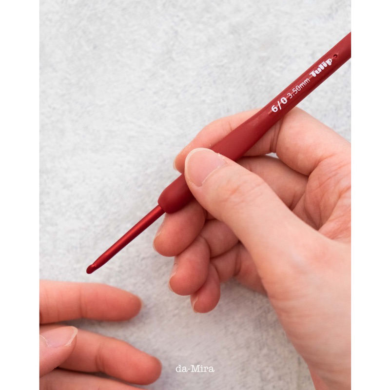 🌷 Kim móc Nhật Tulip Etimo Red chính hãng Tulip Nhật