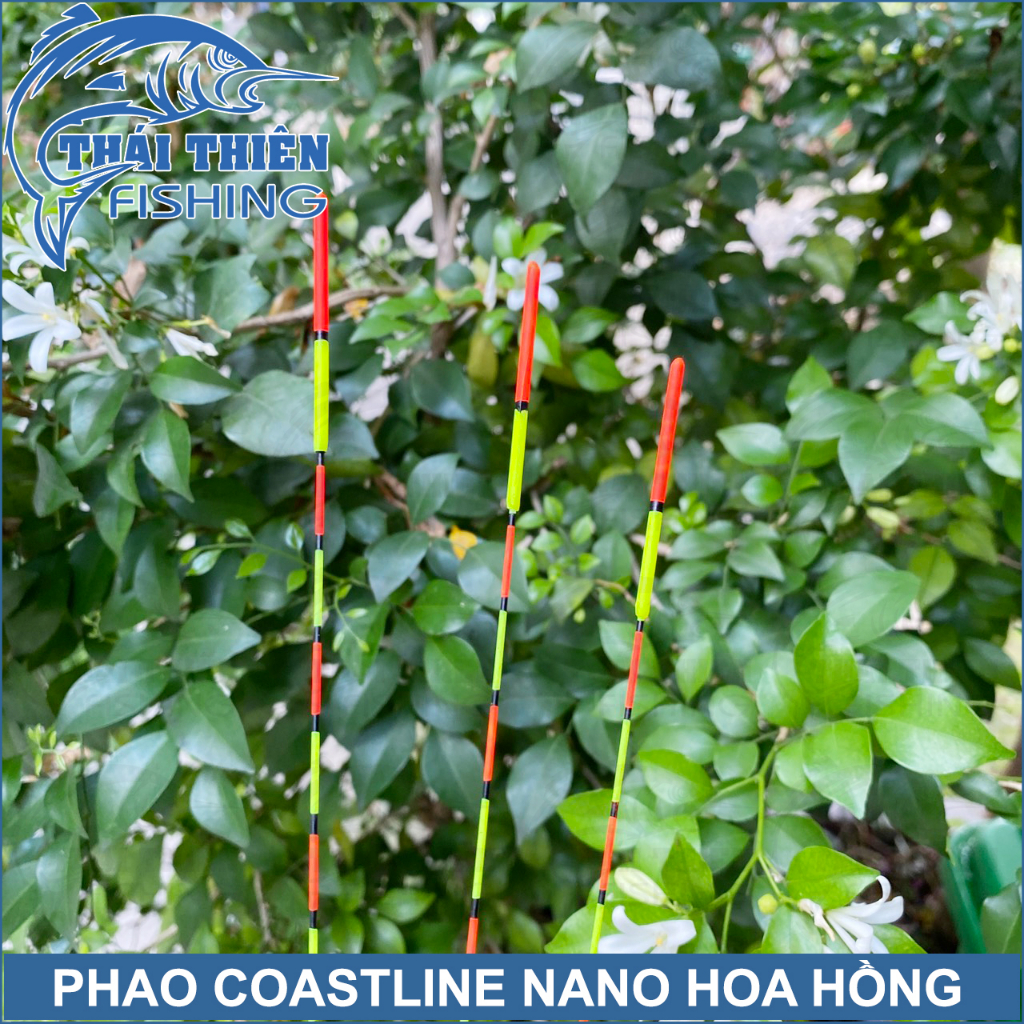Combo 3 Quả Phao Câu Đài Coastline Nano Hoa Hồng Có Đài Phản Quang