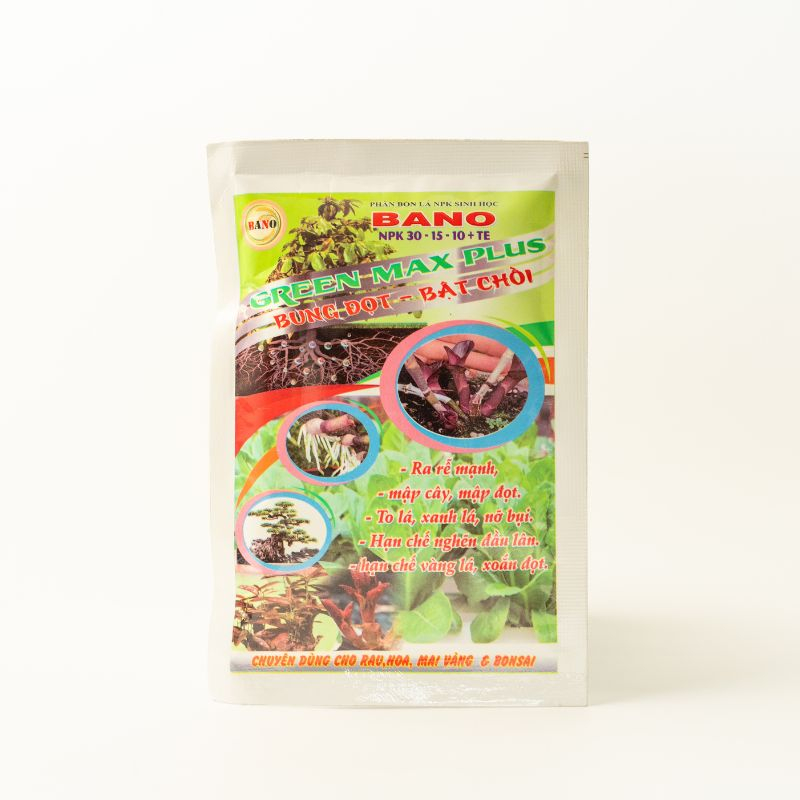 Giúp cây đâm chồi, kích rễ, xanh lá phục hồi mai vàng sau khi nở hoa Bano GREEN MAX plus 50g  hiệu quả Siêu Thị Nông Dượ
