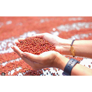 Tiêu đỏ hữu cơ Kampot Campuchia 100g