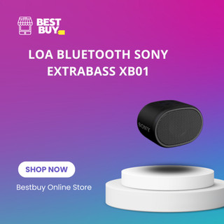 Loa Bluetooth Sony ExtraBass XB01 - Hàng Chính Hãng Mới 100%