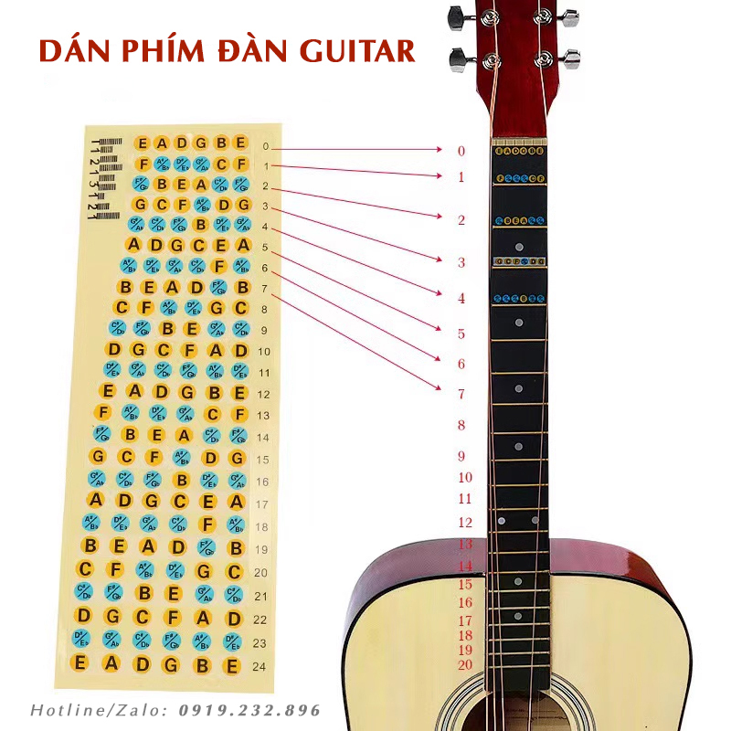 Sticker Guitar Ukulele - Dán Nốt Cần Đàn - Nhãn Dán Phím Guitar Ukulele