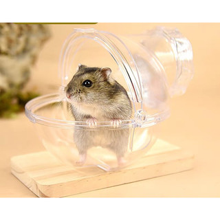 Nhà tắm vũ trụ gắn lồng dành cho hamster / đuôi mập
