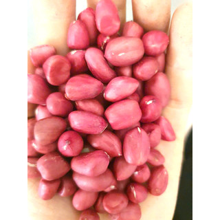 Lạc đỏ băc ,đậu phộng đỏ quê hạt to hàng vip 1 kg