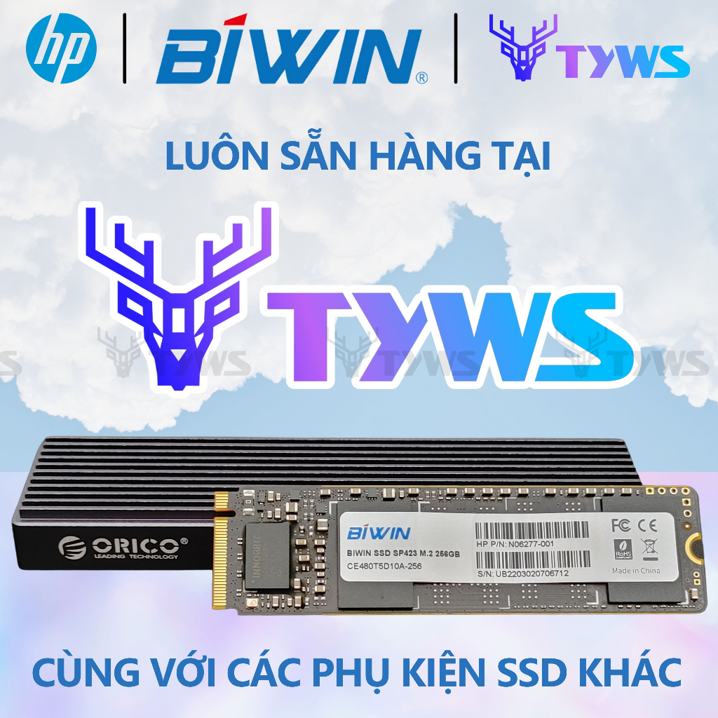 Ổ Cứng SSD BIWIN HP SP423 256GB M.2 NVMe PCIe Gen 3x4 - Bảo hành 1 đổi 1 HPSP423256GB