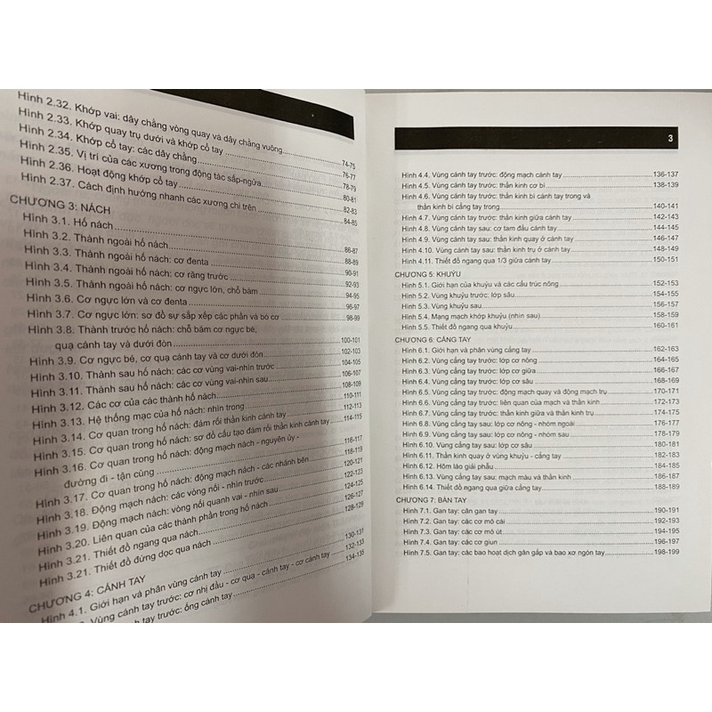 Sách - Combo 2 Cuốn Giải Phẫu Chi Trên Chi Dưới - Ngực Bụng