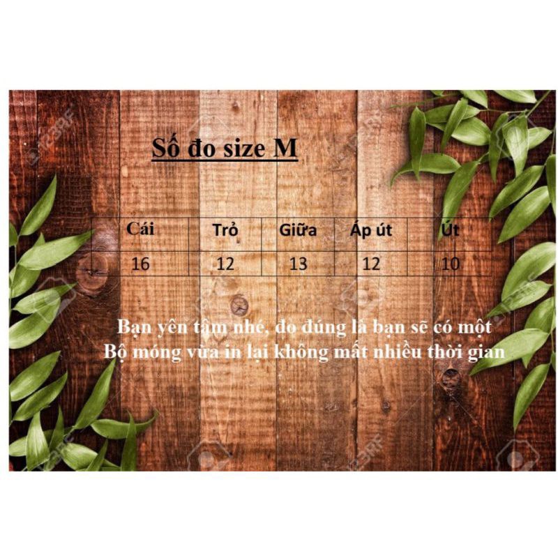 Móng giả_nail box móng thiết kế mèo cute