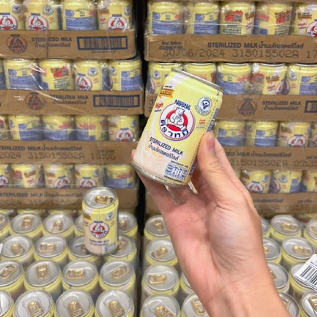 Sữa Tươi Gấu Nestle Thái Lan Ăn Vặt Tiểu Muội