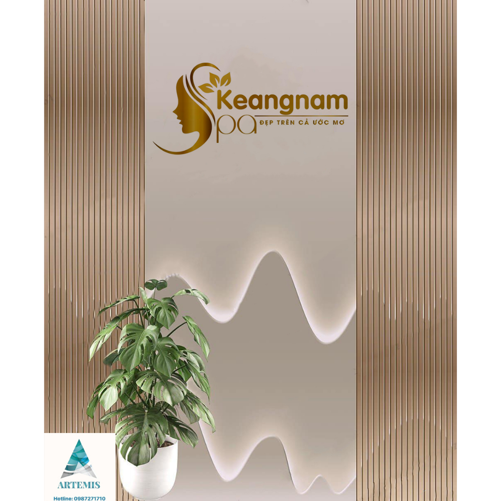 Phông Nền Livestream,Decor, chụp ảnh 3D/5D hợp Xu Thế và in theo kích thước Yêu Cầu