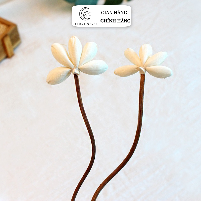 GIÁ SỈ - Que Khuếch Tán Tinh Dầu LALUNA.CENT - Hoa Tản Hương Thơm Phòng Tiện Dụng Trang Trí C14