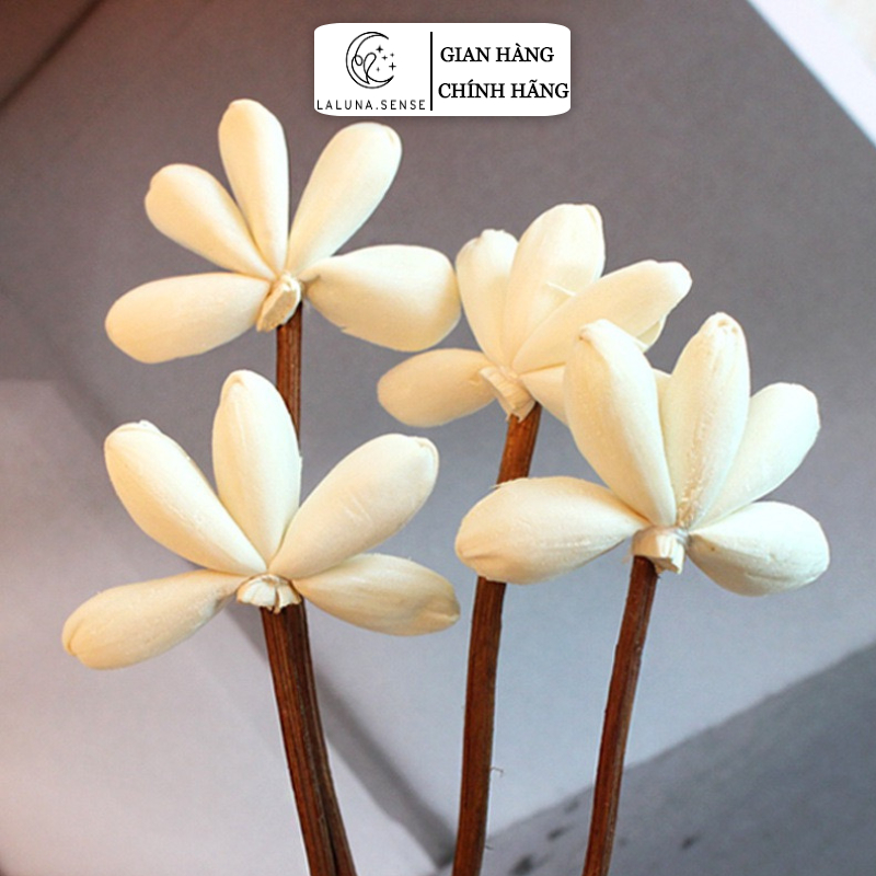 GIÁ SỈ - Que Khuếch Tán Tinh Dầu LALUNA.CENT - Hoa Tản Hương Thơm Phòng Tiện Dụng Trang Trí C14