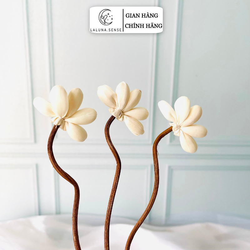 GIÁ SỈ - Que Khuếch Tán Tinh Dầu LALUNA.CENT - Hoa Tản Hương Thơm Phòng Tiện Dụng Trang Trí C14