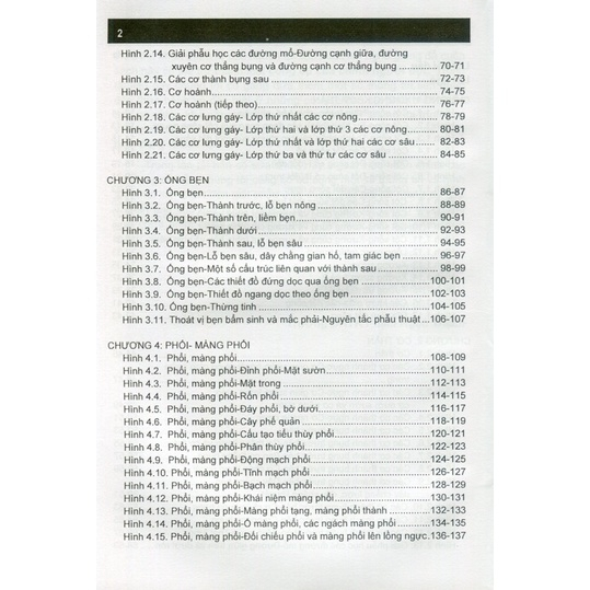 Sách - Combo 2 Cuốn Giải Phẫu Chi Trên Chi Dưới - Ngực Bụng