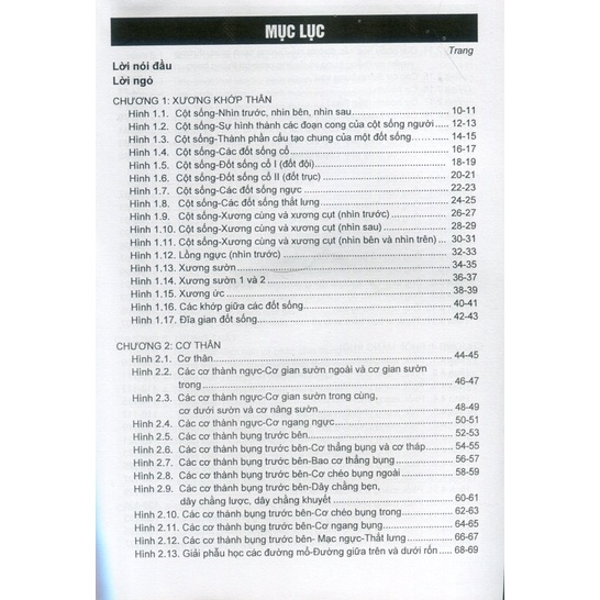 Sách - Combo 2 Cuốn Giải Phẫu Chi Trên Chi Dưới - Ngực Bụng