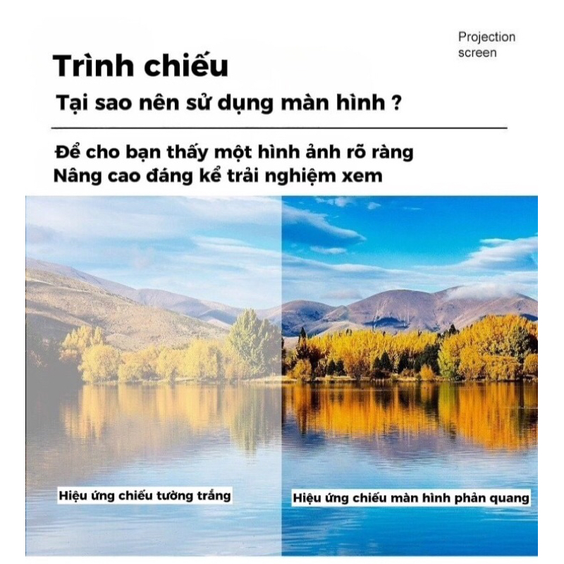 Màn hình chiếu phản quang dán tường dùng cho các loại máy chiếu 60inch, 84inch, 100inch