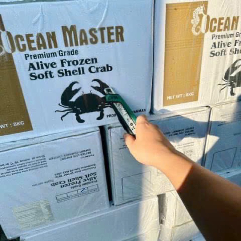 Cua lột hộp 8 -10con