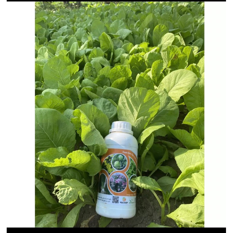 PHÂN BÓN HỮU CƠ TOPON