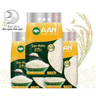 Combo 3 túi gạo 5kg - gạo st21 thơm ngon - nổi tiếng đặc sản sóc trăng