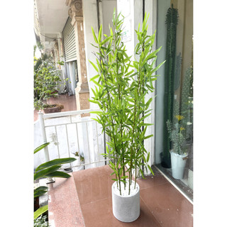 Chậu xi măng tròn (các cỡ) - Lan Decor