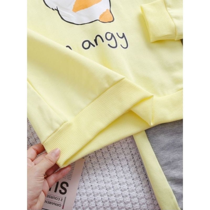 Bộ nỉ bé gái size đại chất nỉ da cá xuất dư 20-45kg