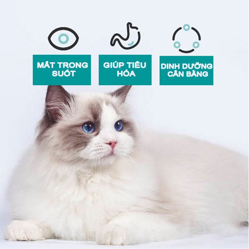 Súp thưởng cho mèo  thanh 15g - Xúc Xích, Thức ăn cho mèo